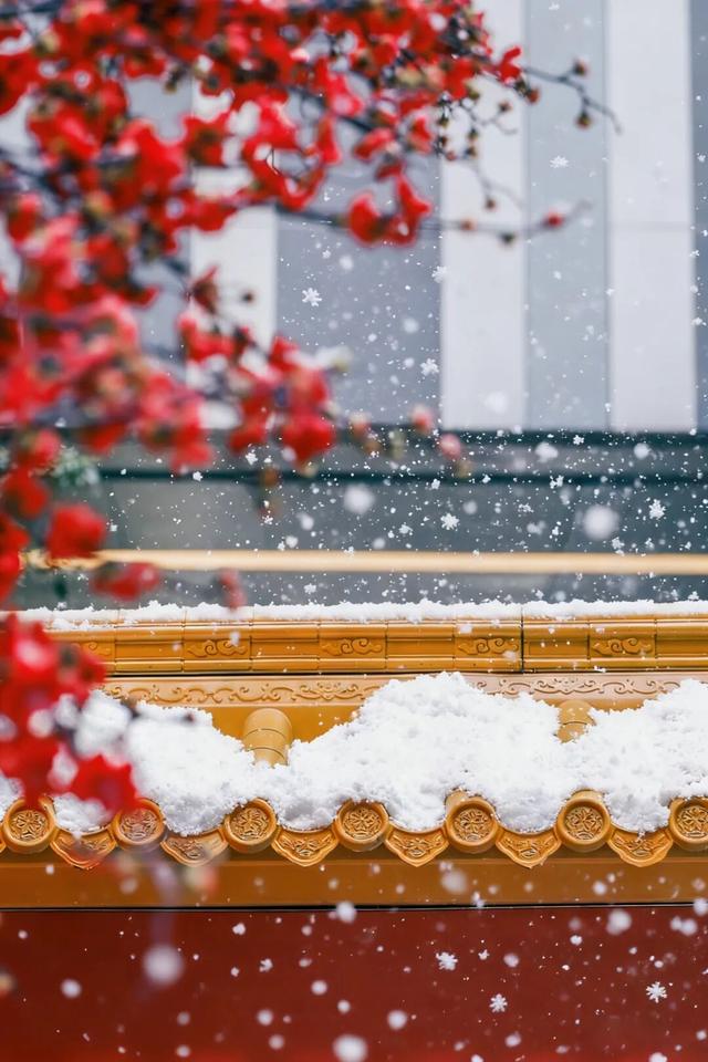 深圳冬日限定打卡点上新，顶流LABUBU也来了……