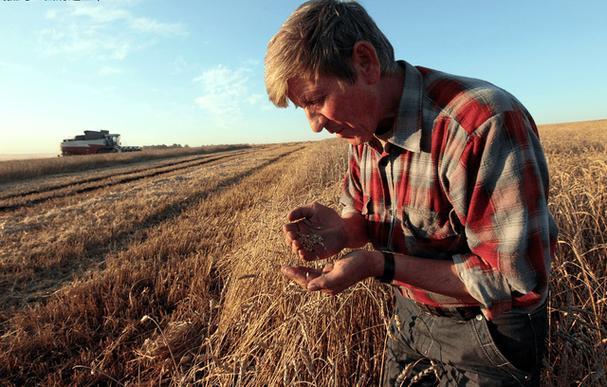 一则广告惹怒特朗普！再加税10%，惩罚了加拿大，也害了自家农民