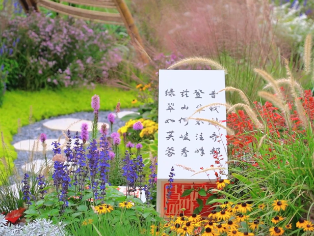 接下来临沂的秋天 | 这10处绝美打卡地别错过！先收藏慢慢逛~