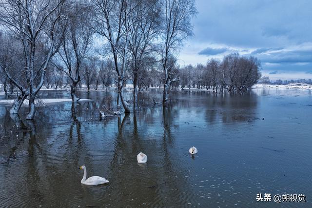 朔城区，大好河山谁建设