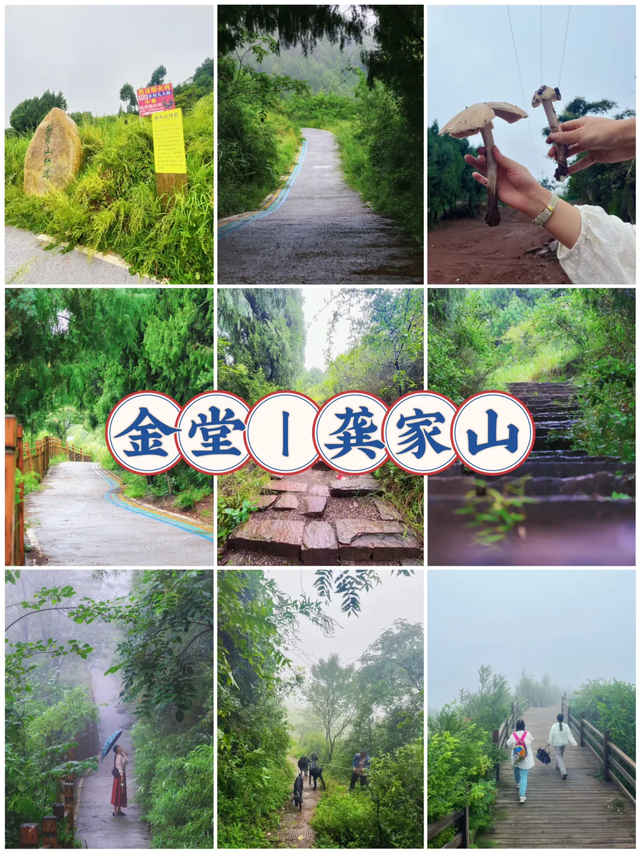 先收藏！成都周边8条捡秋亲子徒步路线，最近0.5h每条都超美！