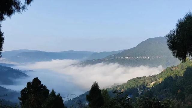 高温退退退！苍溪去暑有“凉”方！