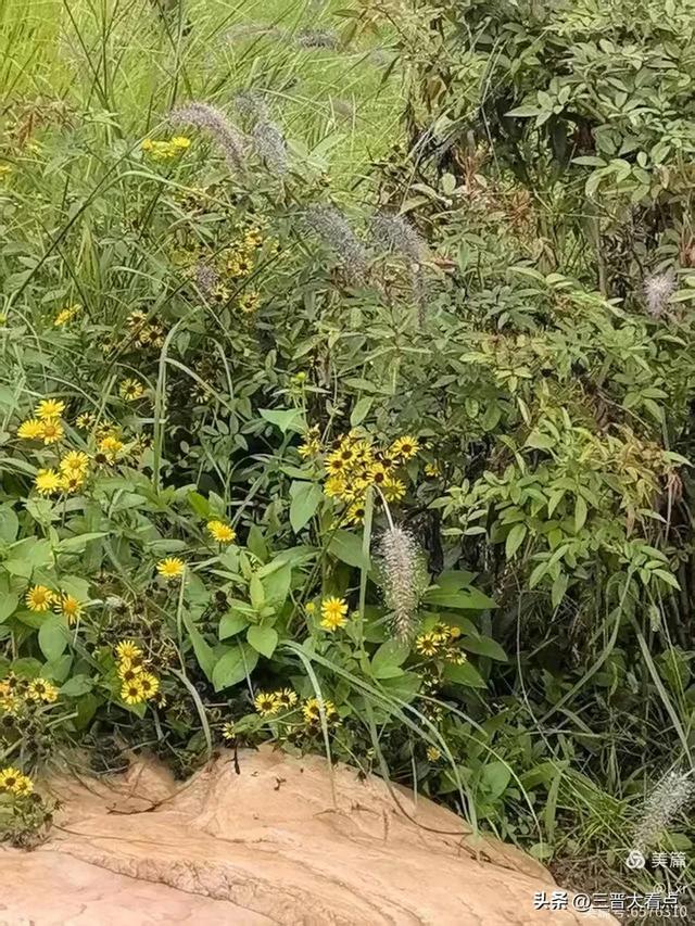 秋雨绵绵漳泽湖