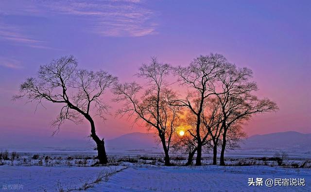 雪中的延边上演吉林版“冰雪奇缘”，这么玩才好。