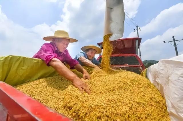 中国最不好惹的一个省！半个中国都要依赖它，还能在战时承接产业