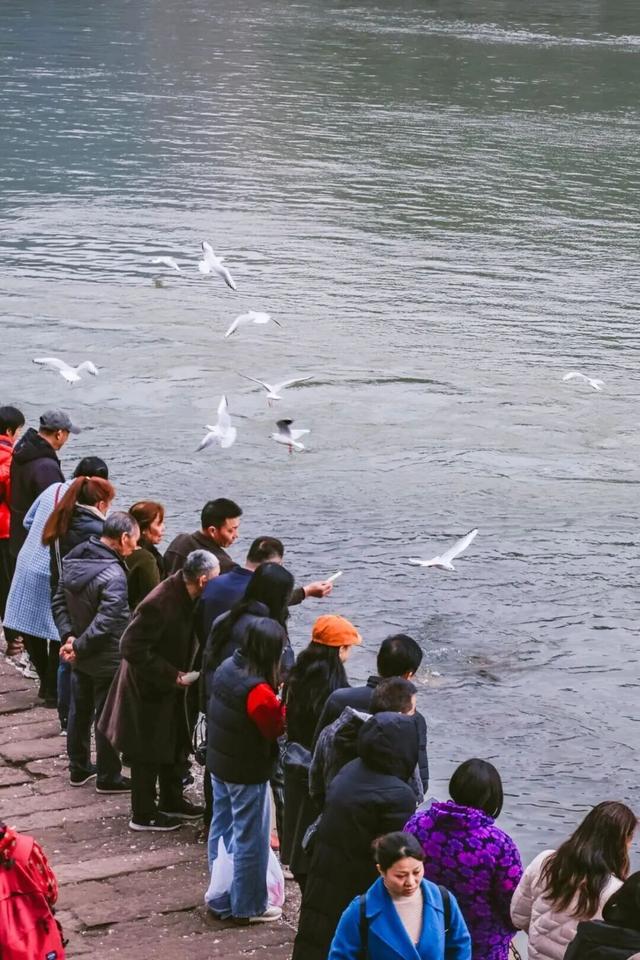 宜宾冠英古街秋假遛娃指南：非遗扎染、燃面研学、江边喂鱼，一站式玩透！