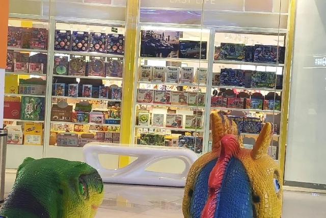 在游乐场附近，能够看到什么呢？