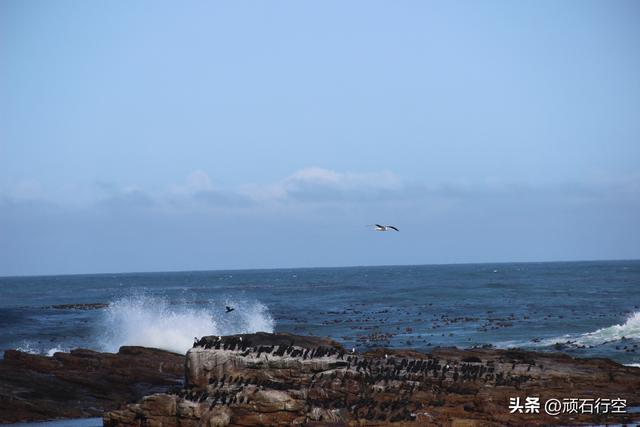 南部非洲：南非好旺角