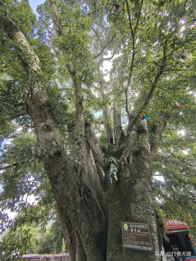 多彩贵州自驾游之黔西南州兴义篇：万峰林与马岭河峡谷的山水交响
