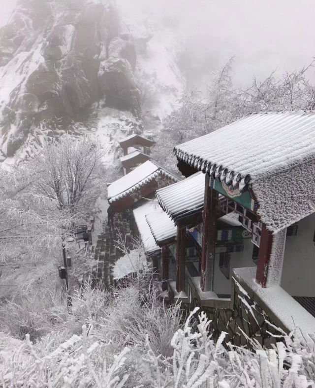 春天又想起来逞能了！今早，大批青岛人憋着想请假：领导，这里突然美得不像话，我能不能去打个卡，晚了怕它化了……