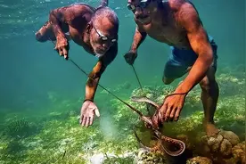 没有国籍的海上民族，能潜入几十米深海捕鱼，身体已经开始进化图片