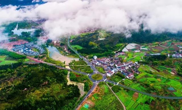台州春行录:山海寻鲜,花间寻梦