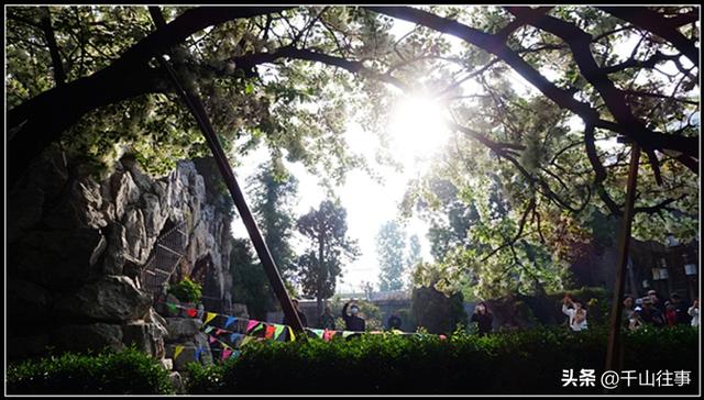 银絮伴轮行：美利达狼8，180公里薛城→济宁戴庄医院流苏探访评测