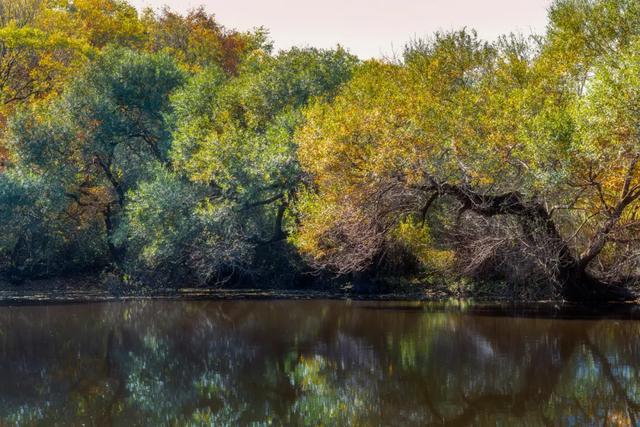 一键收藏!明光南部2025年秋景大赏