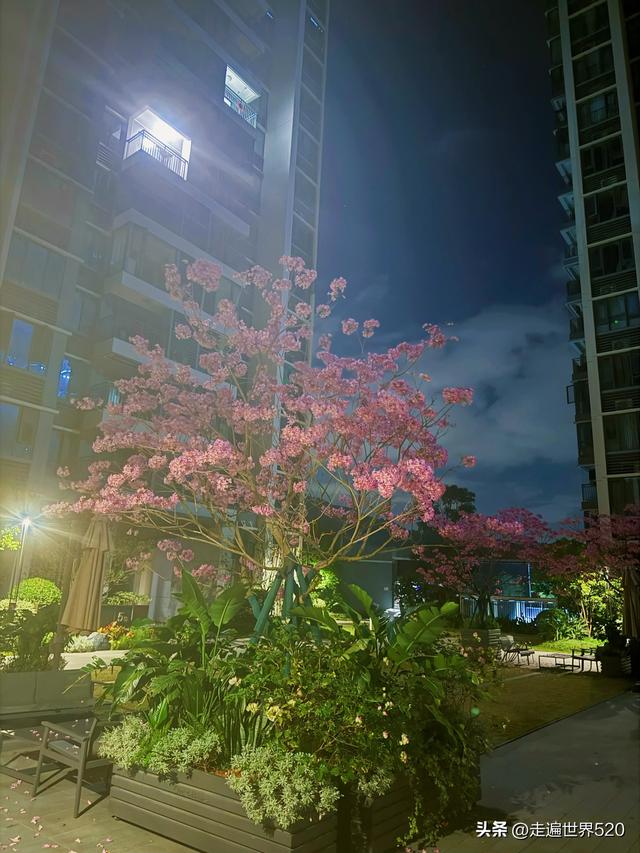 一半烟火广州，一半浪迹天涯