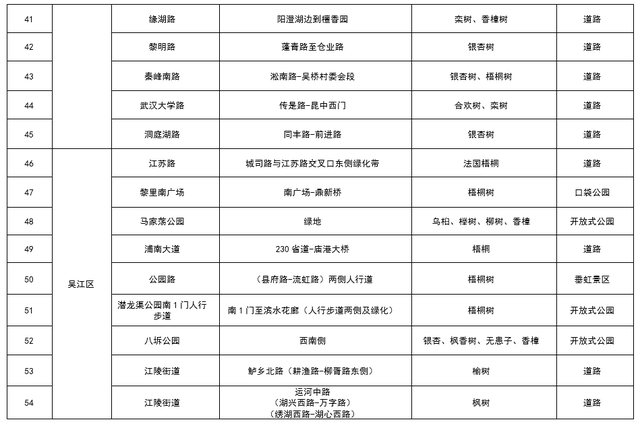 从“不扫”变“缓扫”，苏州用十五年守护秋日温暖！