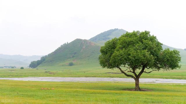 最喜欢的旅游风景照推荐