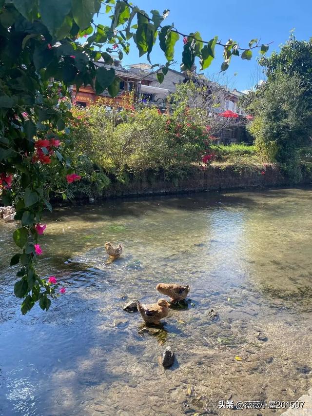 腾冲秘境：火山沉寂，绽放的地质与自然之美