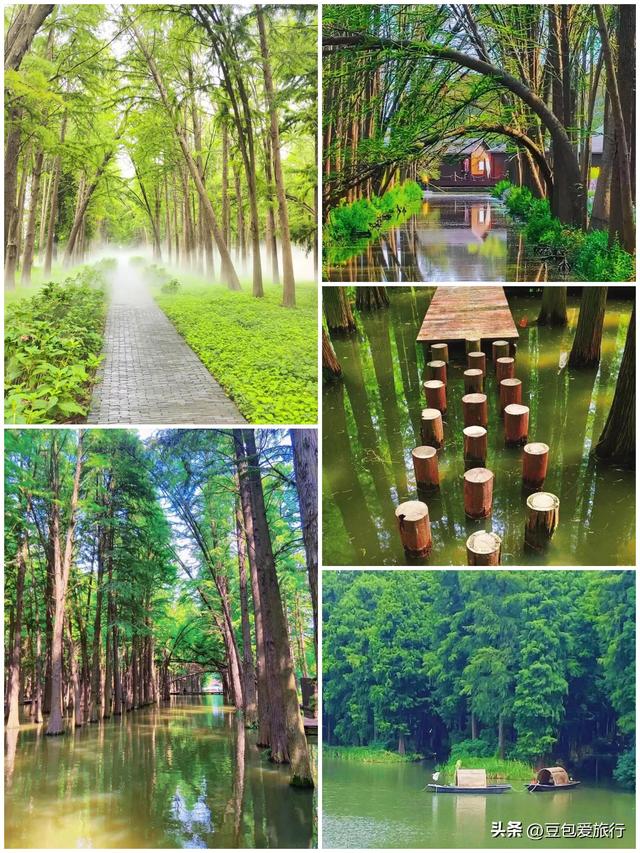 泰州深度漫游指南：五日沉浸水城，赏人文品美味不赶路