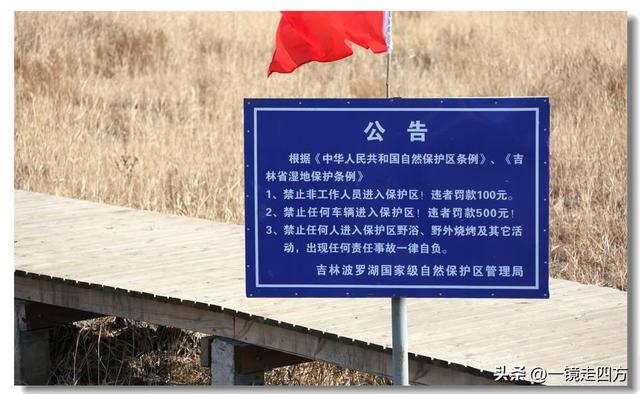深秋时节，走进长春农安的波罗湖湿地
