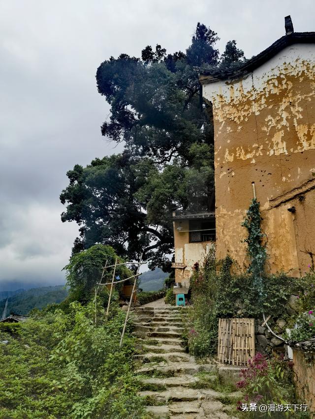 进山寻觅松阳的古村落，结果让我看到了与北方不一样的地方