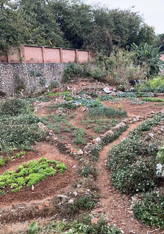 五象湖「最强景观」火了,公告成了废纸