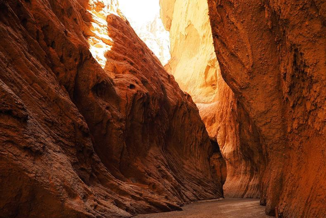 月薪8000留不住人，牧民靠万亩草场维生，新疆的上限下限超乎想象