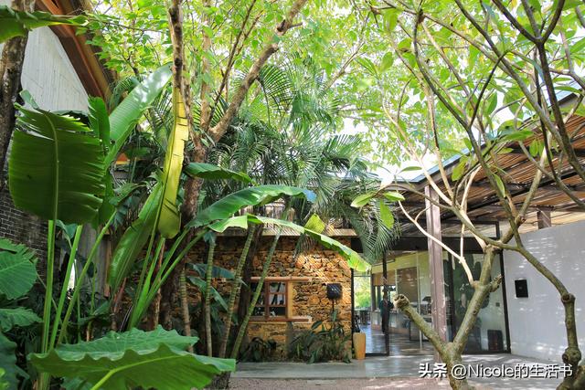 稻浪浸温汤，古村藏清欢