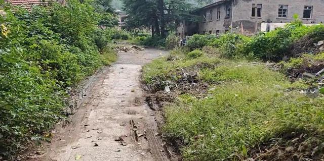 531工程的那些年：看看它是如何从辉煌到废墟