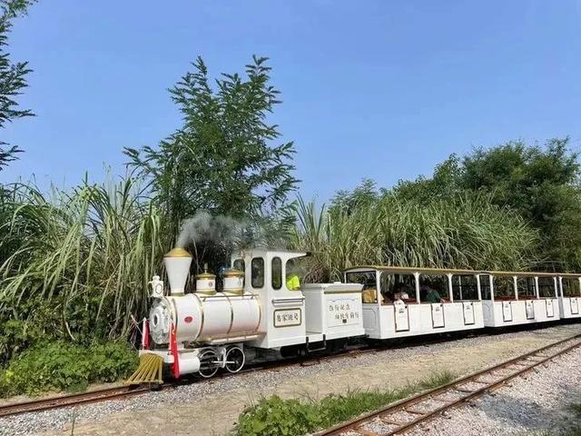 全免费！成都周边30min玩水抓螃蟹、露营野餐钓鱼烧烤！轻松安逸周末快冲！