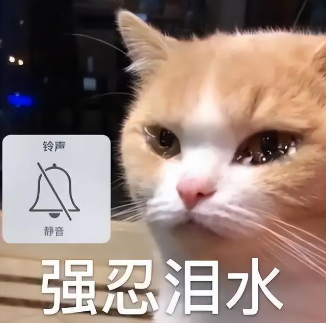 4399海外狂赚20亿，腾讯网易联手制裁，却倒逼出“小游戏之王”