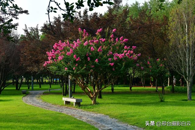 立秋之约：达活泉公园的诗意画卷（图）