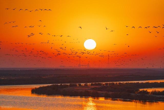 山东最容易被忽略的小城，小众低调的东营，藏着黄河入海的浪漫！
