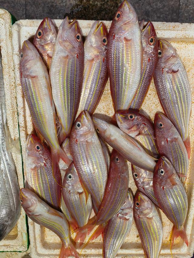 又回海南天来泉