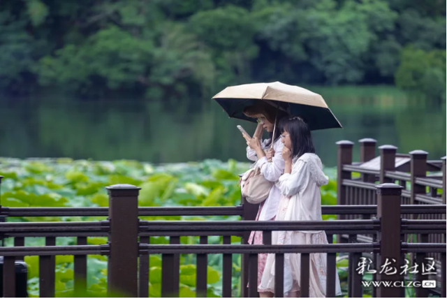 水墨丹青普者黑 荷风烟雨画中游