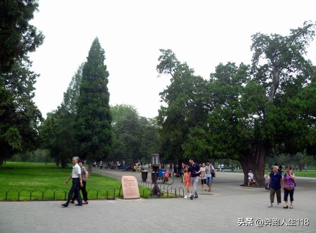 古木参天、绿草如茵，天坛景色秀