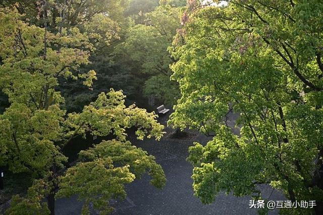 40mm镜头是什么样的？与35mm、50mm镜头有何区别？