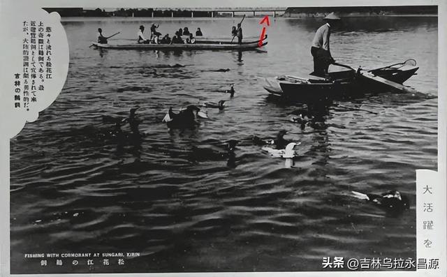 打卡松花江铁路桥时，请了解这些鲜为人知的掌故以增益游兴