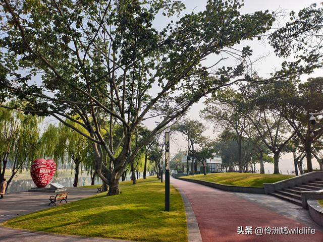 四川行(75)广汉②金雁湖公园·黑塔街·龙居寺