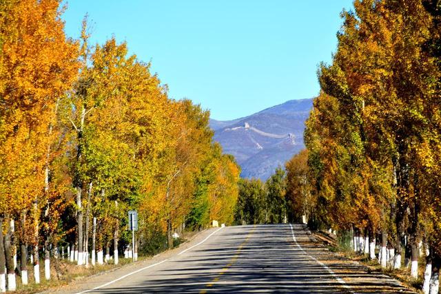 这座塞北小城，藏着长城脚下最美的秋日盛景，邀你共赴浪漫之约~