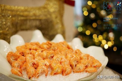 “爪爪心愿·暖冬童话夜”圣诞亮灯温情启幕萌宠与爱共绘冬日美好