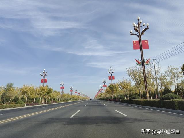 金塔胡杨林