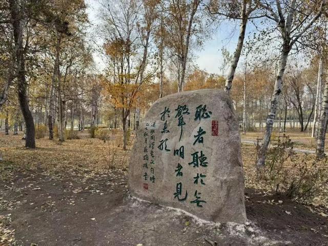 长春这里即将上新！明年开春去“寻宝”→