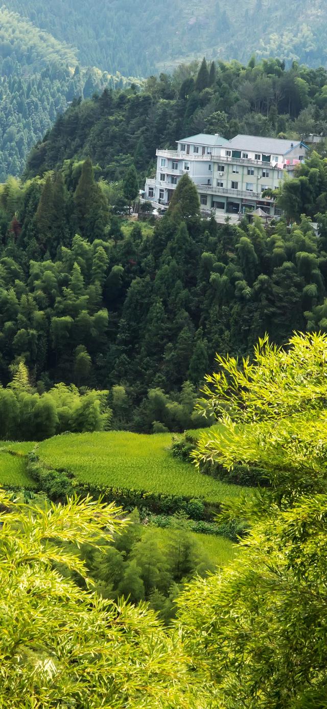 手机壁纸|国庆假期，欣赏美丽的自然风光