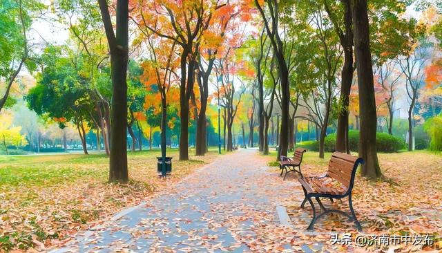 全免费！济南5个能待一天的公园推荐！散步遛娃好去处~