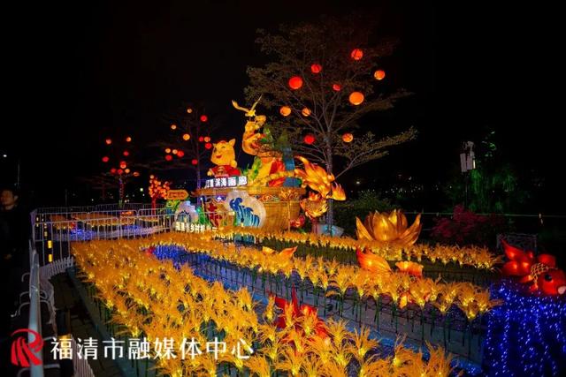 “夜游”江镜！花灯、垛田、黑脸琵鹭……邂逅“绿富美”田园风！