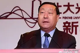 刘振亚：电力巨擘的传奇谢幕与国网新篇章图片