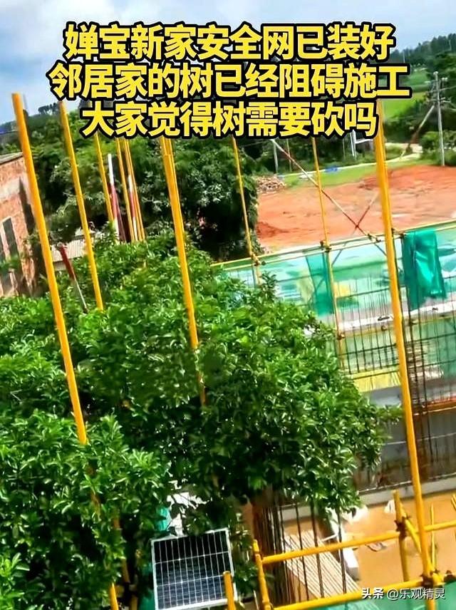 全红婵建房最新进展！邻居需求太苛刻，律师出狠招！婵宝有麻烦？