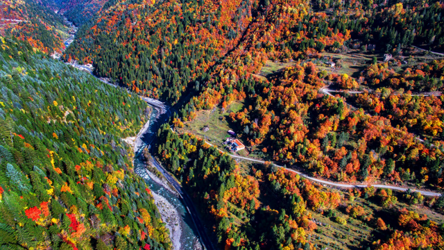 中国彩林第一县！黑水的美镜头不足以描绘！