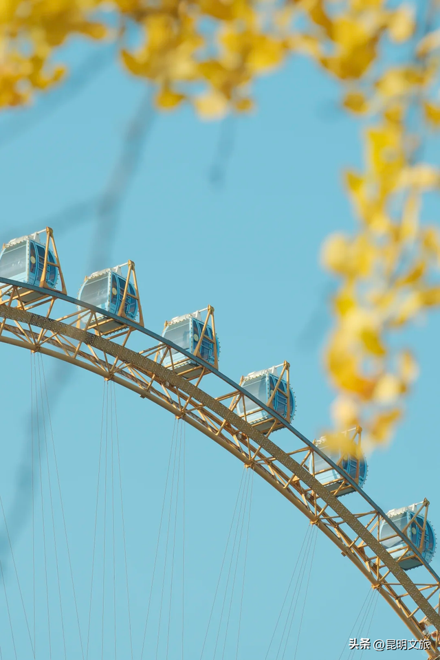 跟着赛事游昆明｜昆明金色信号已满格！这份“市区寻金图鉴”带你解锁冬日温柔